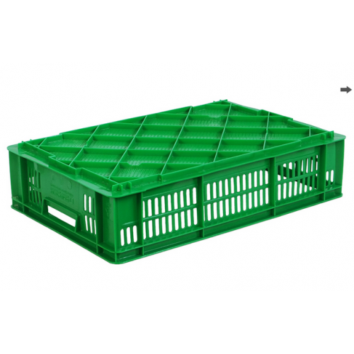 Харчовий пластиковий ящик 600x400x140 ST6414-3020 для добових циплят